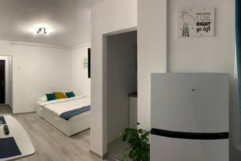 Cozy Studio Apartament Залэу Экстерьер фото