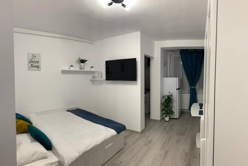 Cozy Studio Apartament Залэу Экстерьер фото