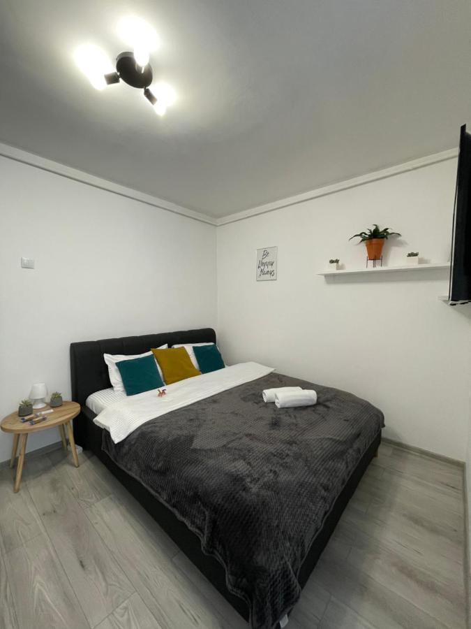 Cozy Studio Apartament Залэу Экстерьер фото
